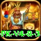 PKR Slots VIP PK v4.8.3